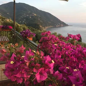 Rosse , Camogli Italie